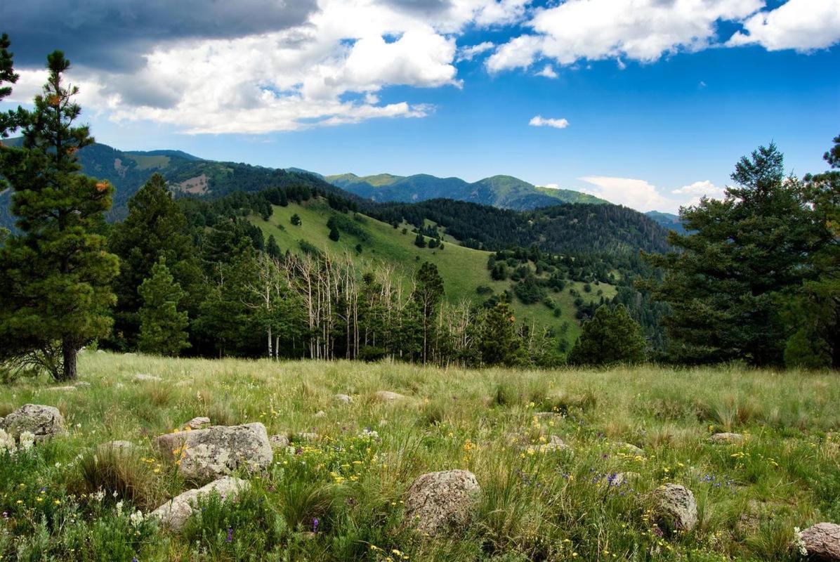 Perfect Cabin, 2 Bedrooms, Fireplace, Midtown, Sleeps 5 Ruidoso Exterior foto